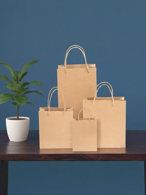 Paper Bag5