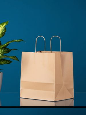 Paper Bag7
